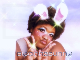 Bigcinnabunny