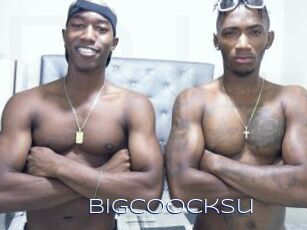 Bigcoocksu