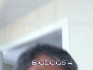 Bigdog614
