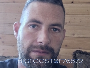 Bigrooster76872