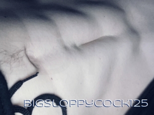 Bigsloppycock125