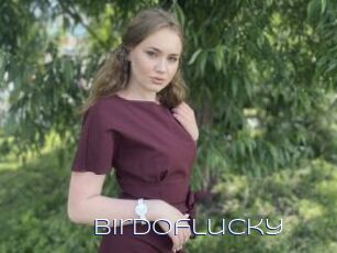 Birdoflucky