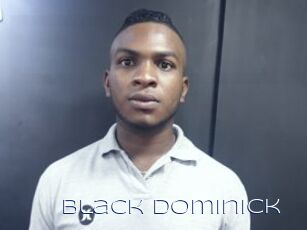 Black_dominick