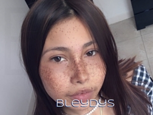Bleydys
