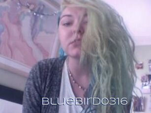 Bluebird0316