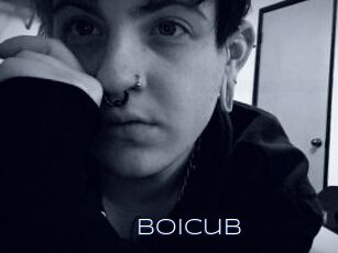 Boicub