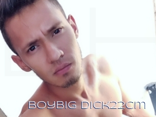 Boybig_dick22cm