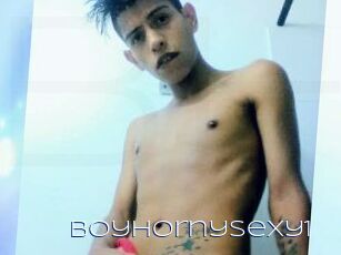 Boyhornysexy1