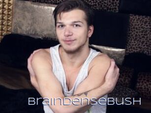 Braindensebush