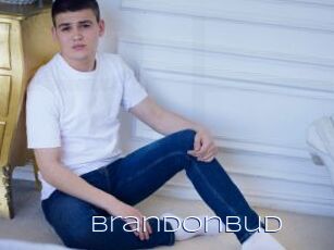 Brandonbud
