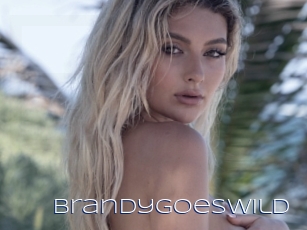 Brandygoeswild