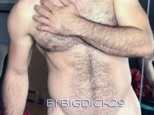 Brbigdick29