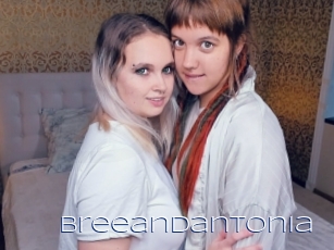 Breeandantonia