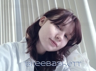 Breebaskett