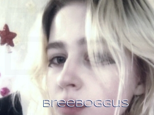 Breeboggus