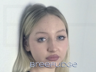Breefudge