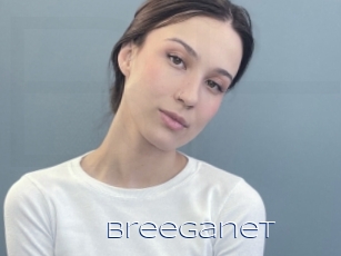 Breeganet