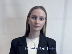 Breegriff