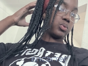 Bricarter