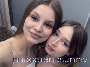 Bridgetandsunniv