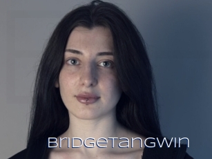 Bridgetangwin