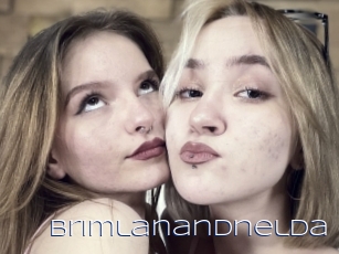 Brimlanandnelda