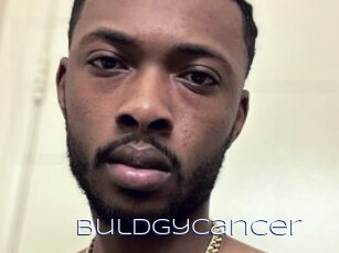 Buldgycancer