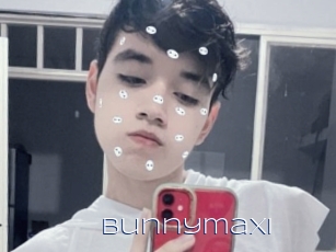 Bunnymaxi