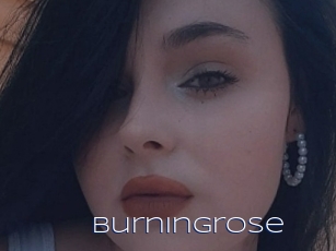 Burningrose