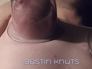 Bustin_knuts