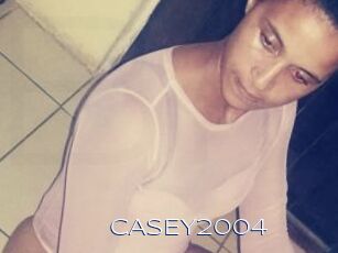 CASEY2004