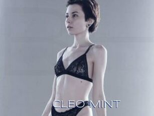 CLEO_MINT
