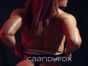CaandyFox