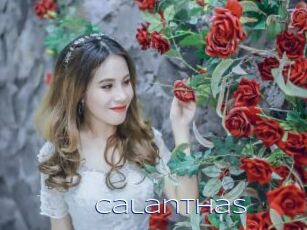 Calanthas