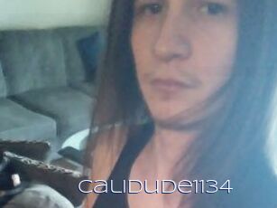 Calidude1134