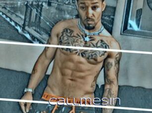 CallmeSin