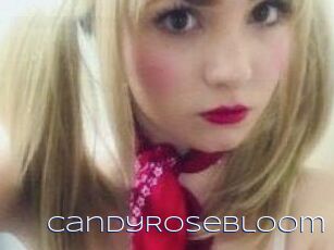 CandyRoseBloom