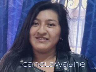 CanelaWayne
