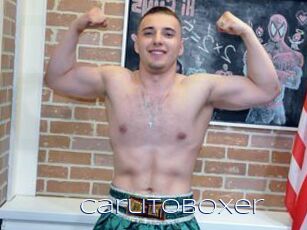 CarlitoBoxer