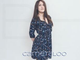 CarnetaLoo