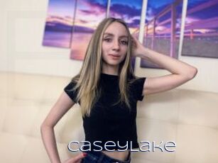 CaseyLake