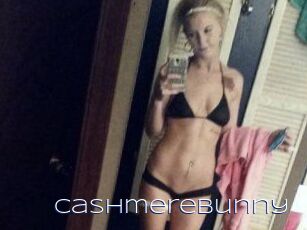 Cashmerebunny