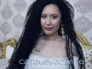 CataleyaDivine Blue Hot