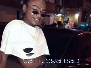 Cattleya_bad