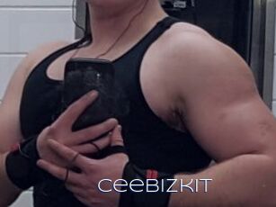 Ceebizkit