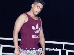 CesarLee