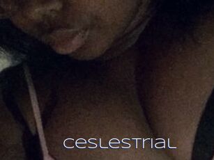 Ceslestrial