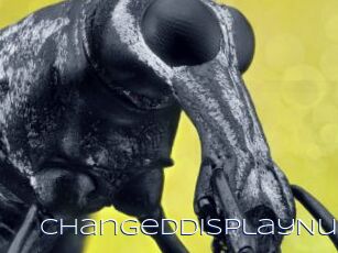 ChangedDisplayNu