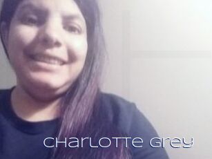 Charlotte_Grey Blue Hot