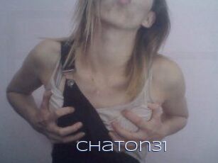 Chaton31
